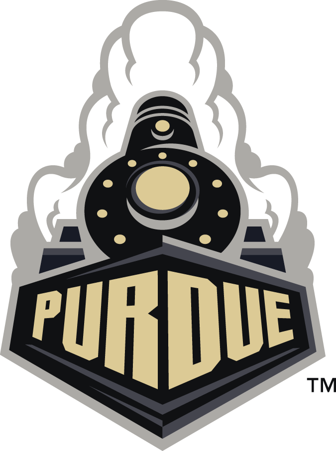 Purdue Boilermakers 2012-Pres Alternate Logo v2 diy iron on heat transfer